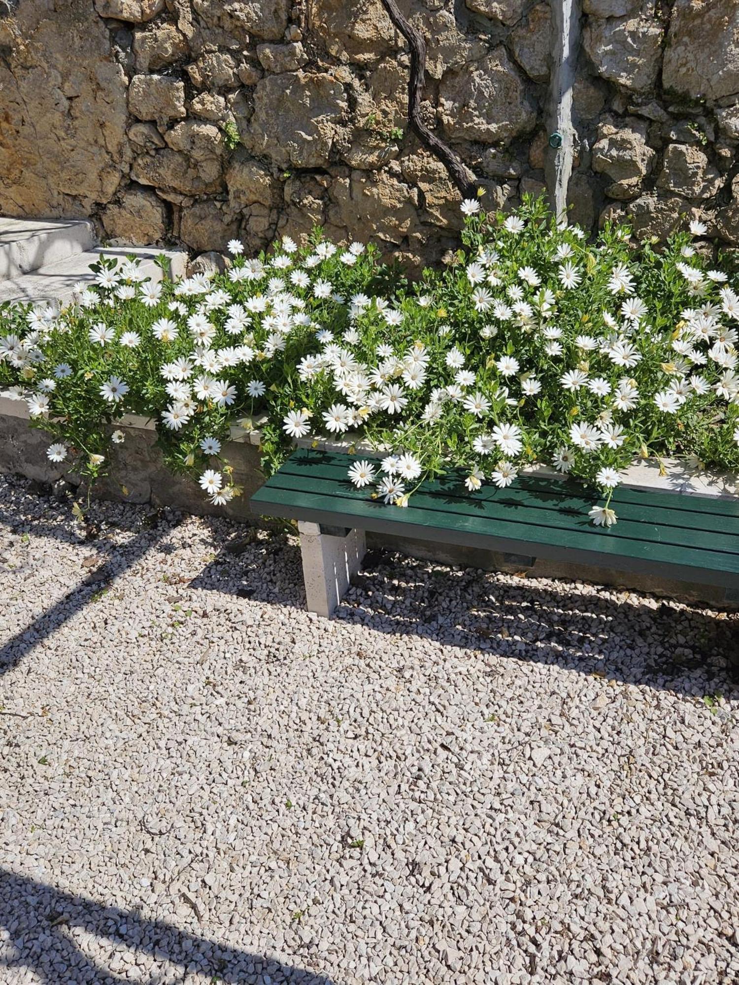 Apartment Marija Close To Old Town Dubrovnik Room photo